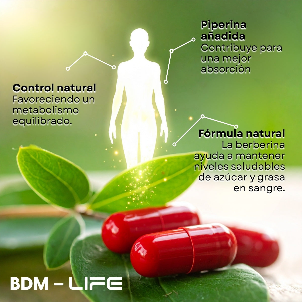 BDM LIFE Berberina + Piperina con Omega 9, Suplemento Alimenticio, 120 Cápsulas, Bienestar Metabólico y Energía