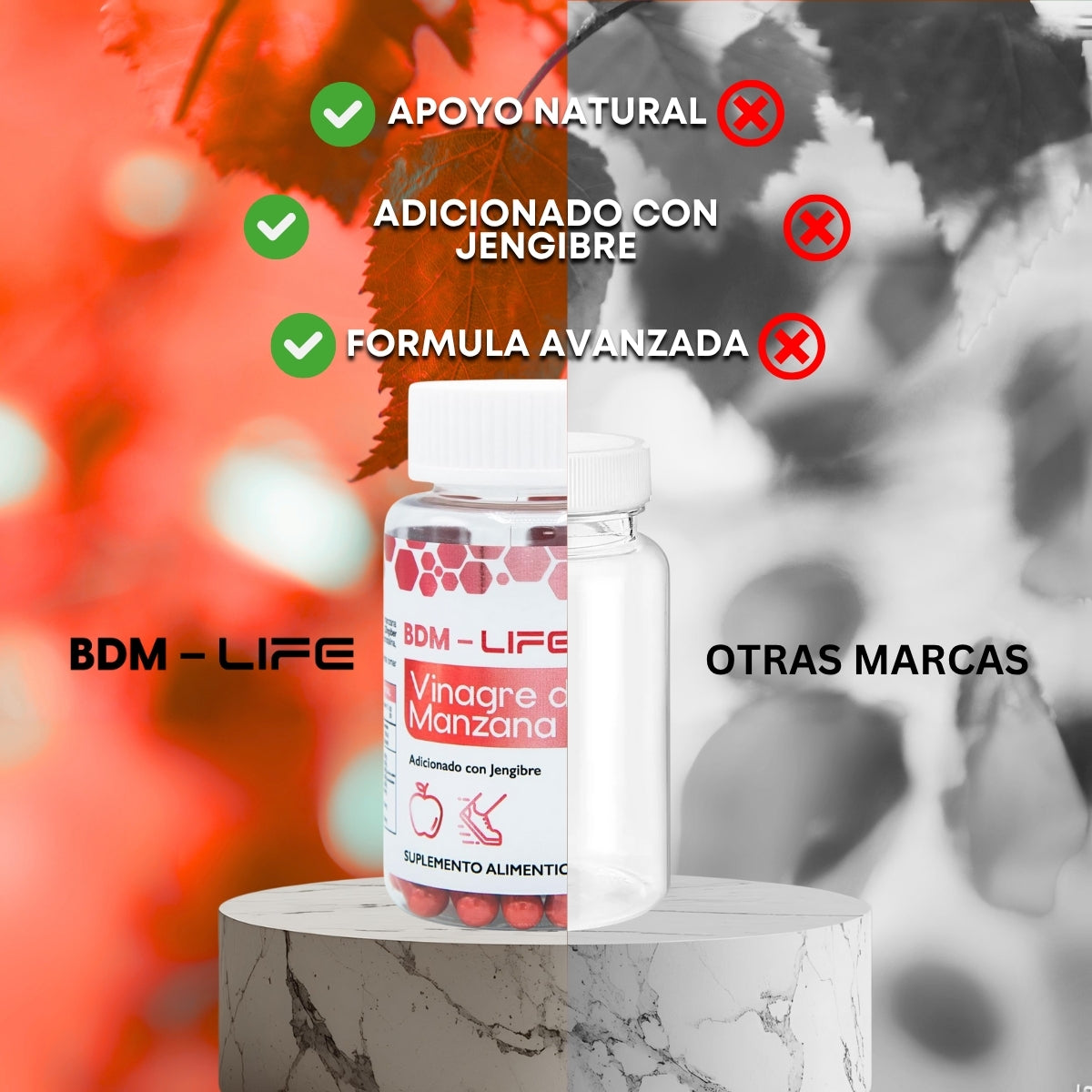 BDM-LIFE Vinagre de Manzana con Jengibre, Suplemento Alimenticio, Apoyo Digestivo y Metabolismo, 60 cápsulas