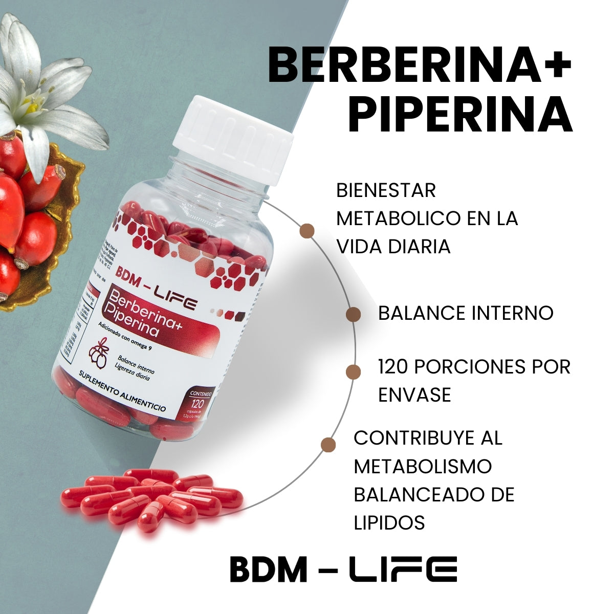 BDM LIFE Berberina + Piperina con Omega 9, Suplemento Alimenticio, 120 Cápsulas, Bienestar Metabólico y Energía