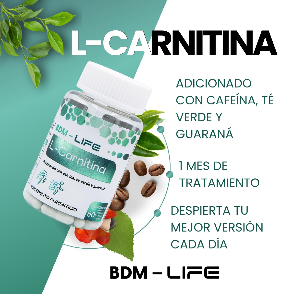 BDM-LIFE L-Carnitina con Cafeína, Té Verde y Guaraná, Energía y Metabolismo, Suplemento Alimenticio, 60 cápsulas
