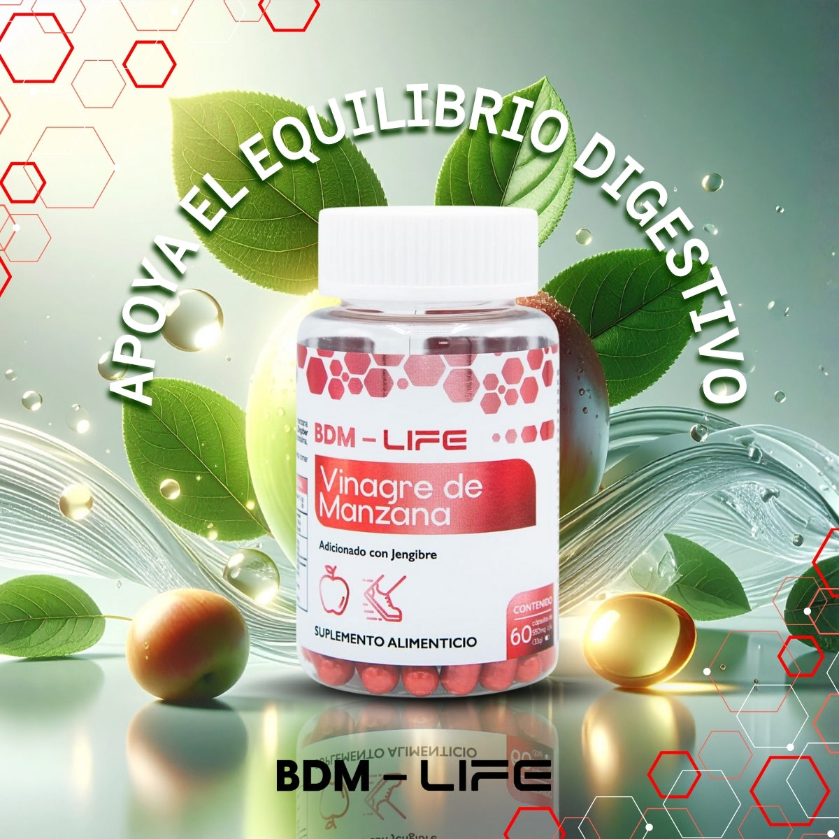 BDM-LIFE Vinagre de Manzana con Jengibre, Suplemento Alimenticio, Apoyo Digestivo y Metabolismo, 60 cápsulas
