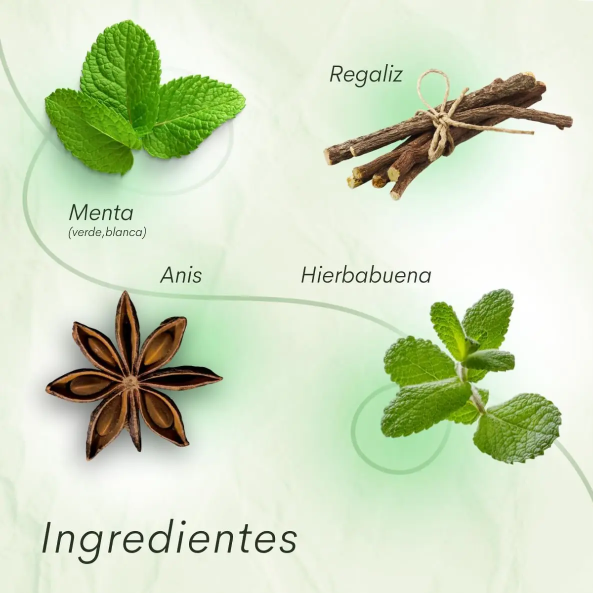 Té Menta Vibrante Té Menta Lithé - Juveternal