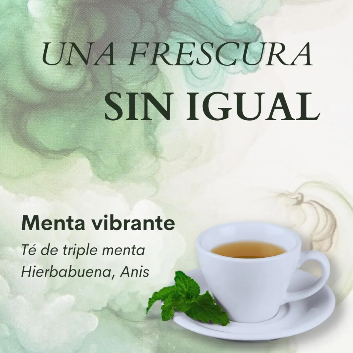 Té Menta Vibrante Té Menta Lithé - Juveternal