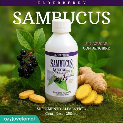 ANAHUAC Sambucus Jarabe con Wellmune, Suplemento Alimenticio, 250 ml, Sin Azúcar, con Jengibre y Vitamina C, Alivio Respiratorio Juveternal