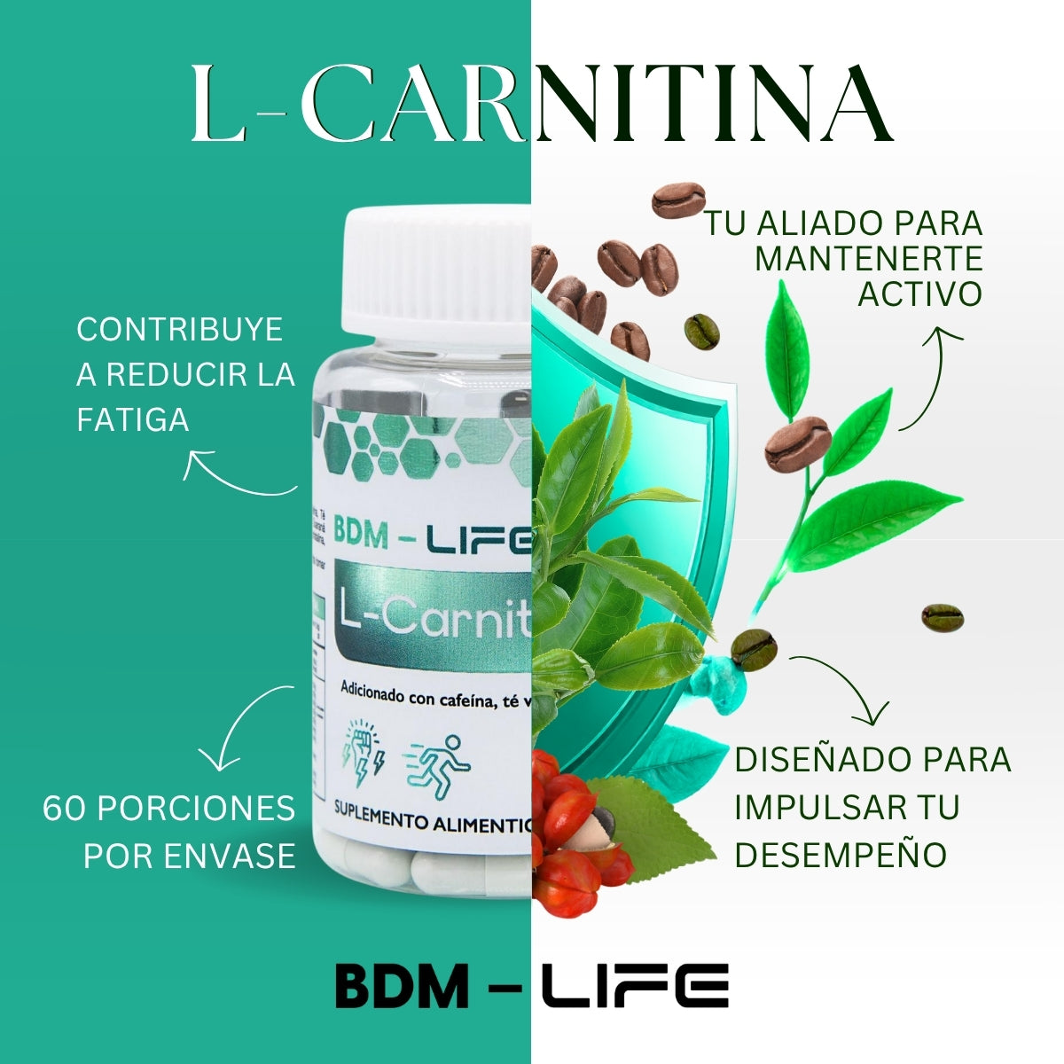 BDM-LIFE L-Carnitina con Cafeína, Té Verde y Guaraná, Energía y Metabolismo, Suplemento Alimenticio, 60 cápsulas