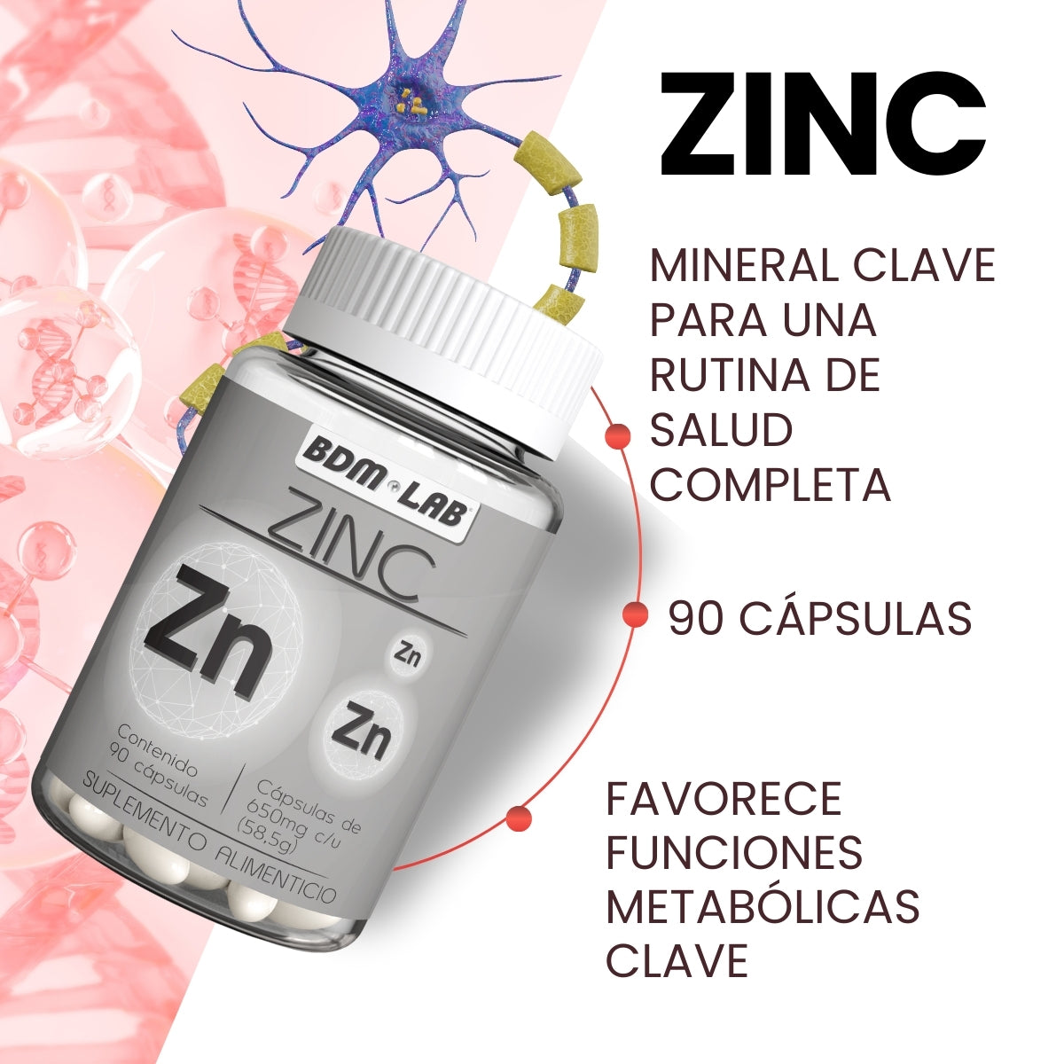 Zinc  | Suplemento alimenticio |  60 cápsulas - Juveternal