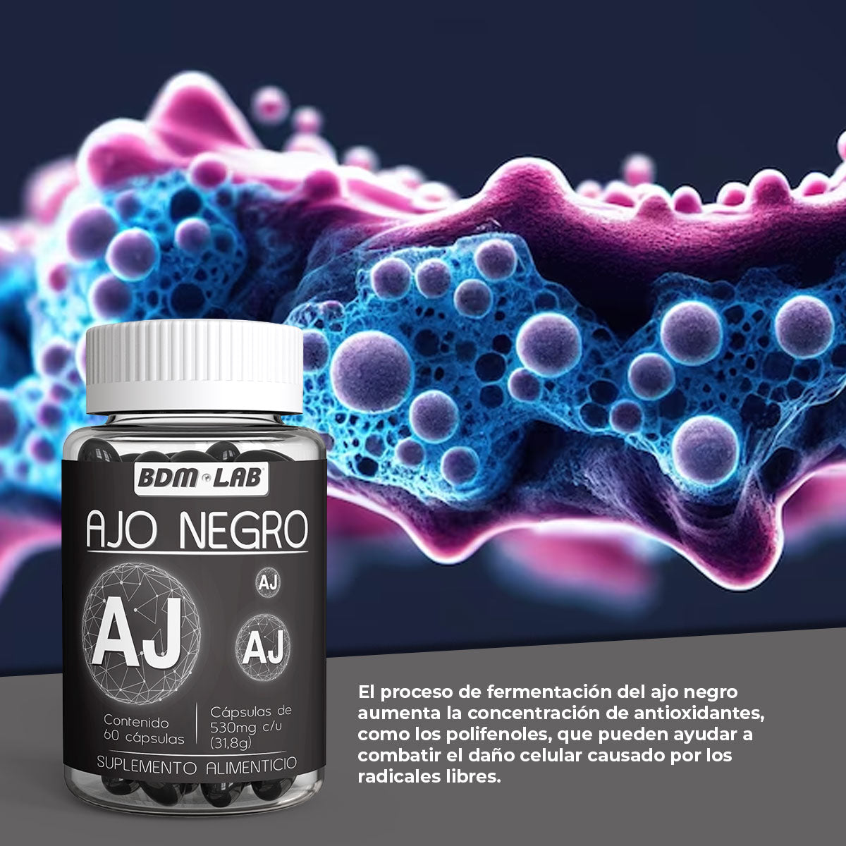 Ajo Negro | 60 cáps |Suplemento alimenticio | Antioxidante.